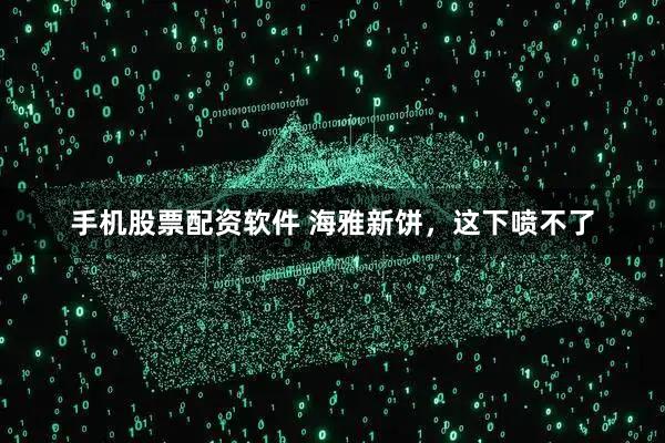 手机股票配资软件 海雅新饼，这下喷不了